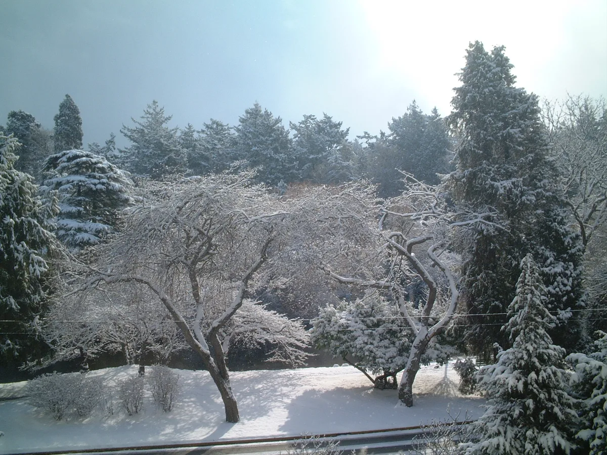 ビーコンヒルパークの雪化粧