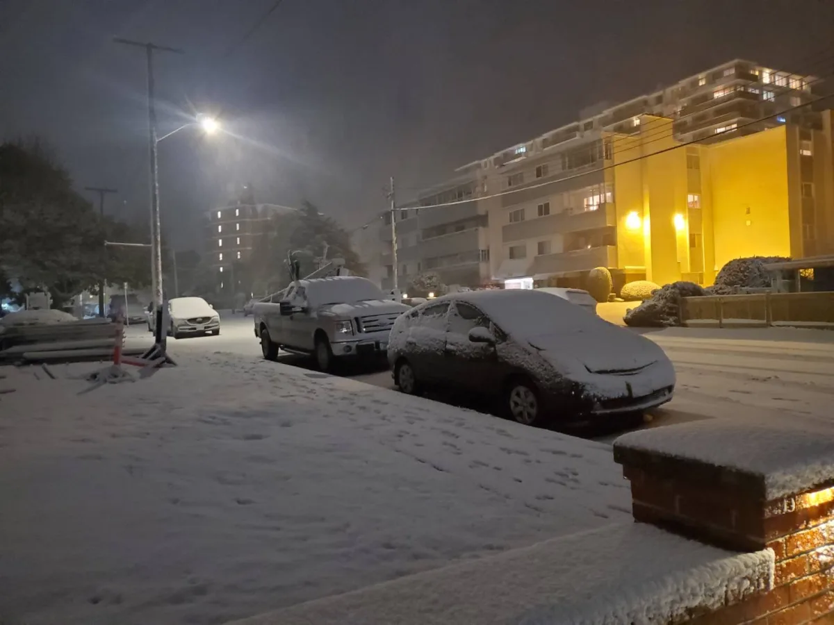 夜のジェームズ・ベイの住宅街、車道にも雪が積もっている