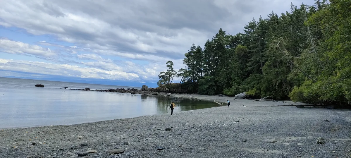イースト・スーク地域公園の海沿いのトレイルを歩く