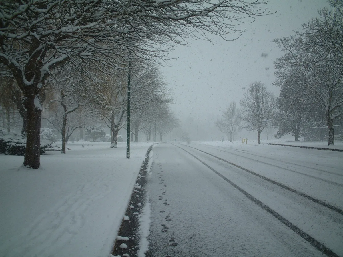 2002年3月の雪の日、ビーコンヒルパークの一面の雪の上に残る自分の足跡